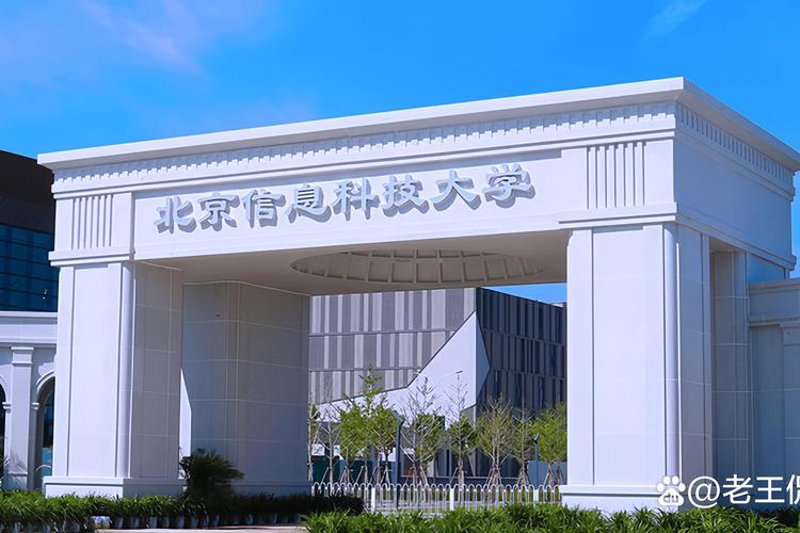 智能转型:IT解决方案引领新时代